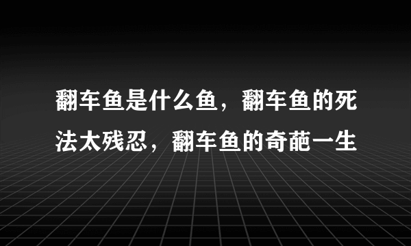 翻车鱼是什么鱼，翻车鱼的死法太残忍，翻车鱼的奇葩一生