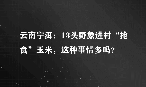 云南宁洱：13头野象进村“抢食”玉米，这种事情多吗？