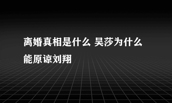 离婚真相是什么 吴莎为什么能原谅刘翔