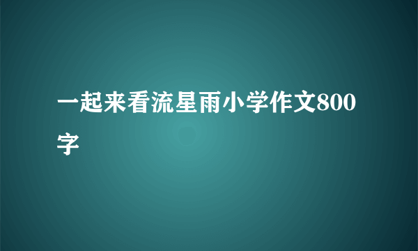 一起来看流星雨小学作文800字