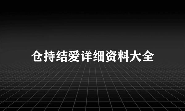 仓持结爱详细资料大全