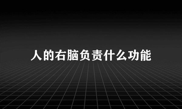 人的右脑负责什么功能