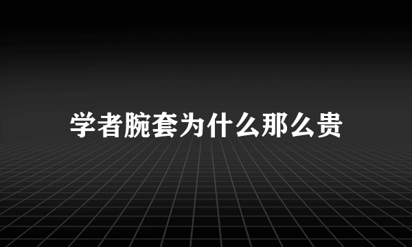 学者腕套为什么那么贵