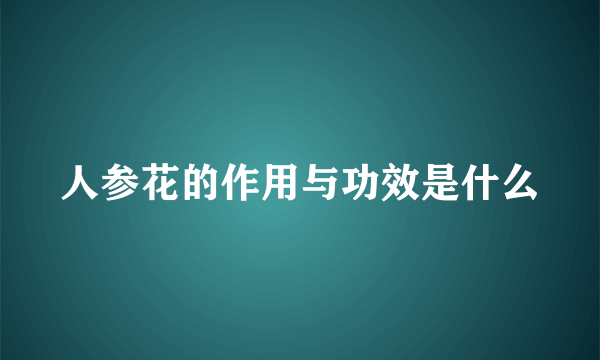 人参花的作用与功效是什么