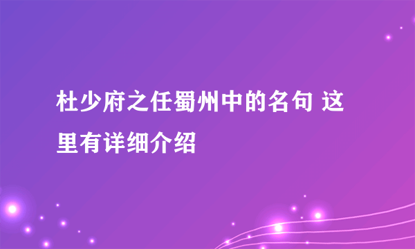 杜少府之任蜀州中的名句 这里有详细介绍