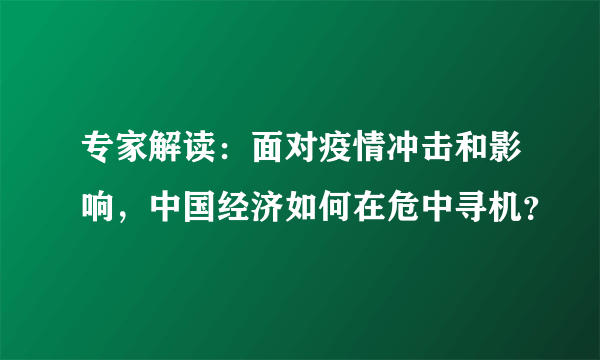 专家解读：面对疫情冲击和影响，中国经济如何在危中寻机？