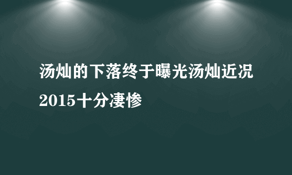 汤灿的下落终于曝光汤灿近况2015十分凄惨