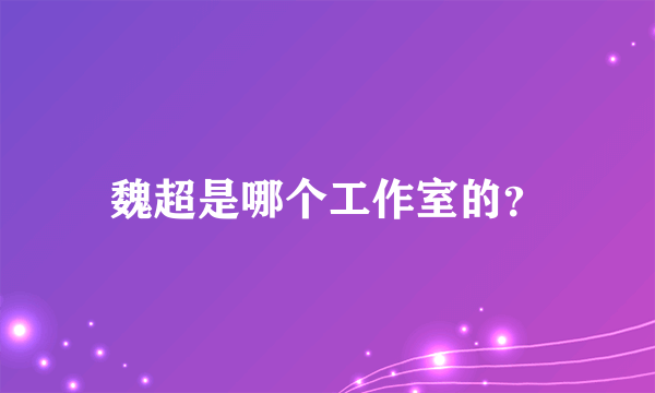 魏超是哪个工作室的？