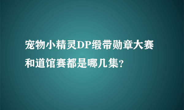 宠物小精灵DP缎带勋章大赛和道馆赛都是哪几集？