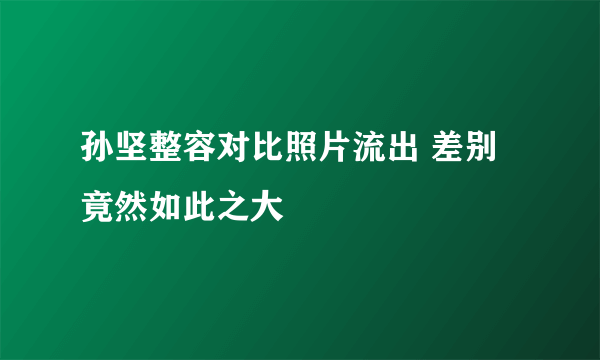 孙坚整容对比照片流出 差别竟然如此之大