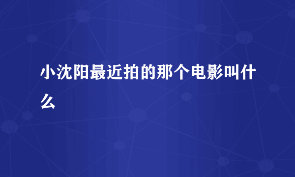 小沈阳最近拍的那个电影叫什么