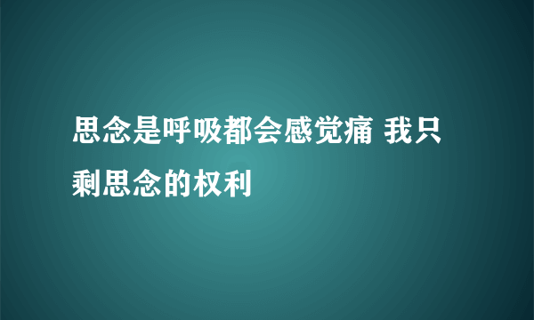 思念是呼吸都会感觉痛 我只剩思念的权利