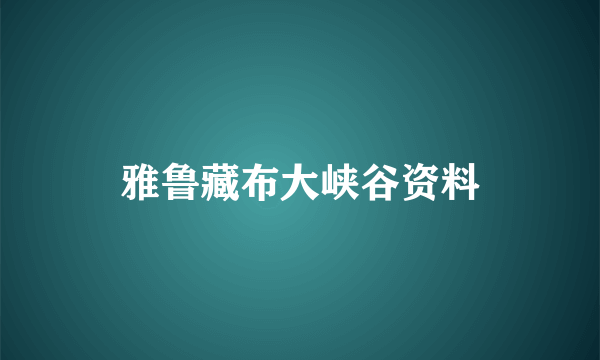 雅鲁藏布大峡谷资料