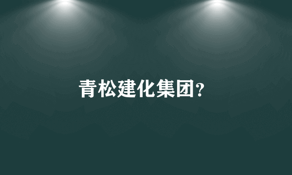 青松建化集团？