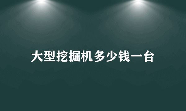 大型挖掘机多少钱一台