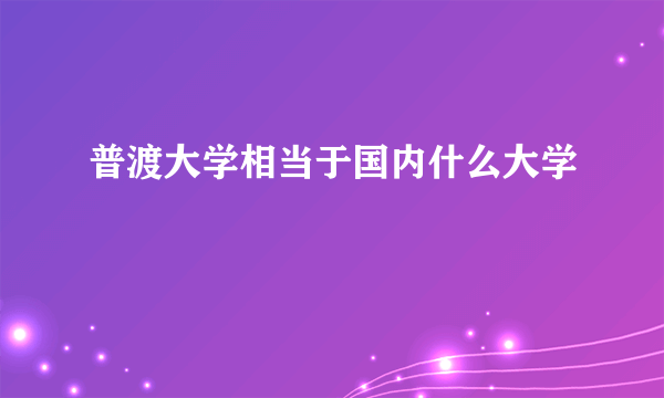 普渡大学相当于国内什么大学