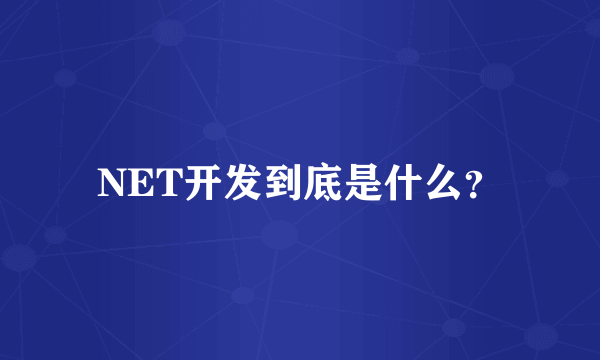 NET开发到底是什么？