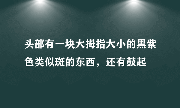 头部有一块大拇指大小的黑紫色类似斑的东西，还有鼓起