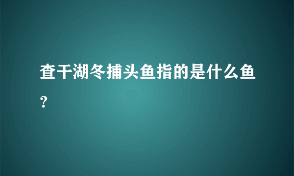 查干湖冬捕头鱼指的是什么鱼？