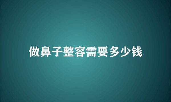 做鼻子整容需要多少钱