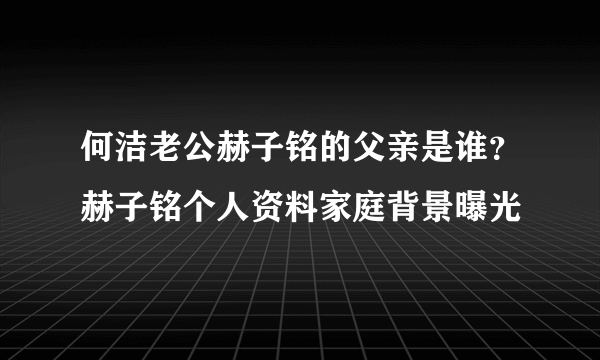 何洁老公赫子铭的父亲是谁？赫子铭个人资料家庭背景曝光