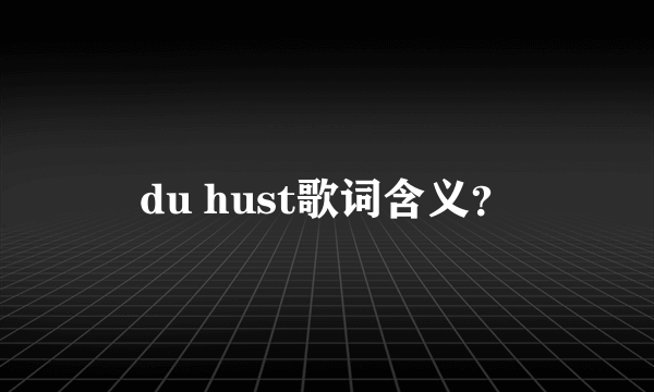 du hust歌词含义？