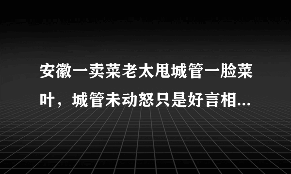 安徽一卖菜老太甩城管一脸菜叶，城管未动怒只是好言相劝，你怎么看？