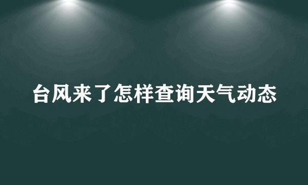 台风来了怎样查询天气动态