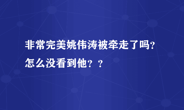 非常完美姚伟涛被牵走了吗？怎么没看到他？？