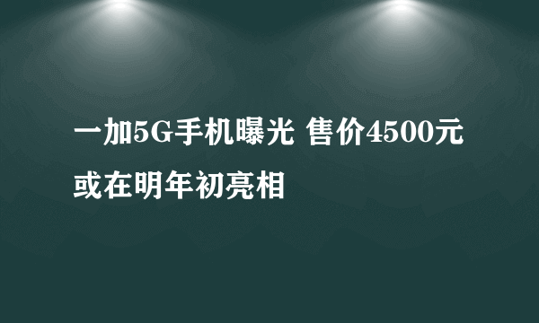 一加5G手机曝光 售价4500元或在明年初亮相