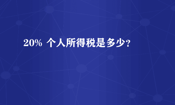 20% 个人所得税是多少？