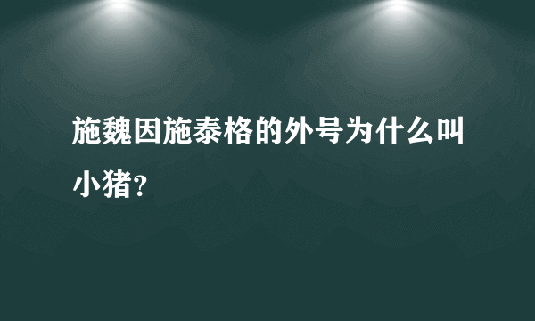 施魏因施泰格的外号为什么叫小猪？