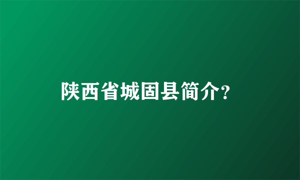 陕西省城固县简介？