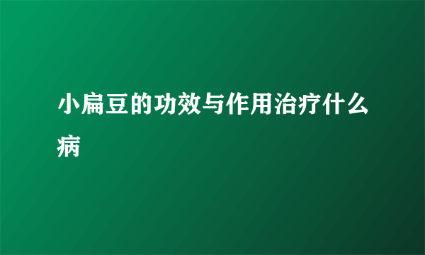 小扁豆的功效与作用治疗什么病