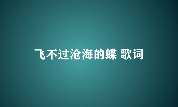 飞不过沧海的蝶 歌词