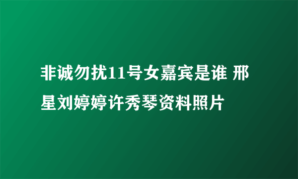 非诚勿扰11号女嘉宾是谁 邢星刘婷婷许秀琴资料照片