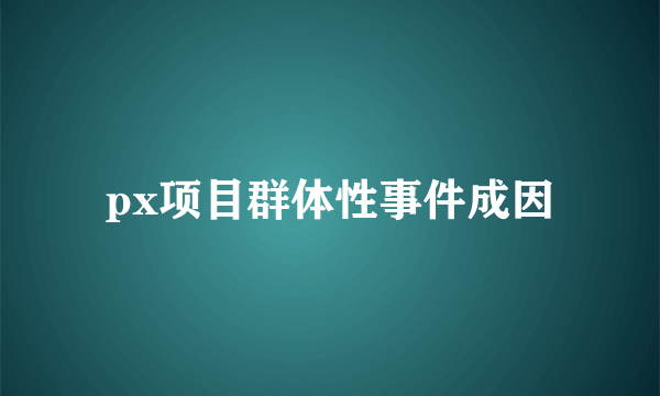 px项目群体性事件成因