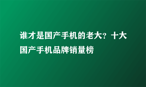 谁才是国产手机的老大？十大国产手机品牌销量榜