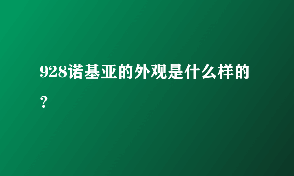 928诺基亚的外观是什么样的？