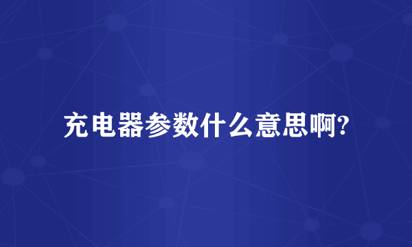 充电器参数什么意思啊?