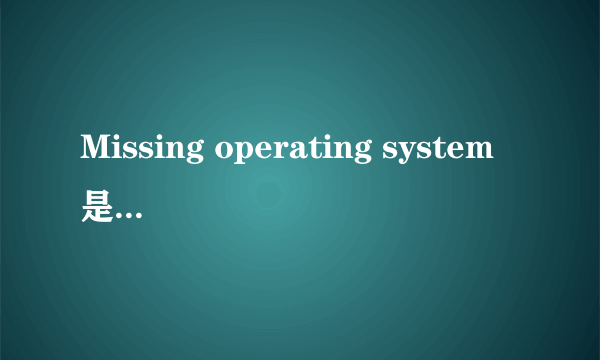 Missing operating system是什么意思