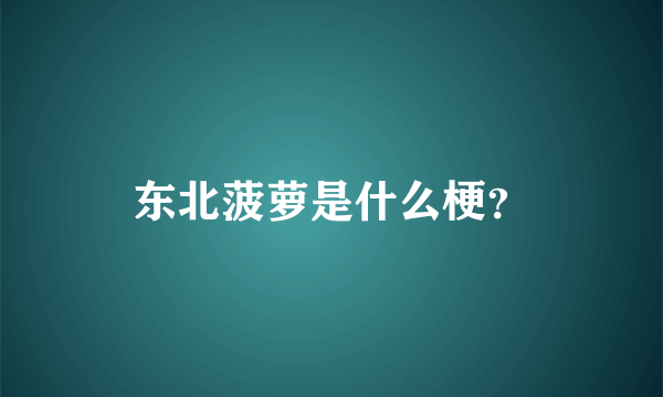 东北菠萝是什么梗？