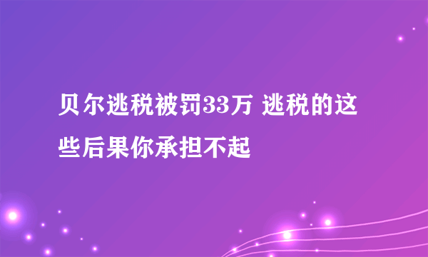 贝尔逃税被罚33万 逃税的这些后果你承担不起