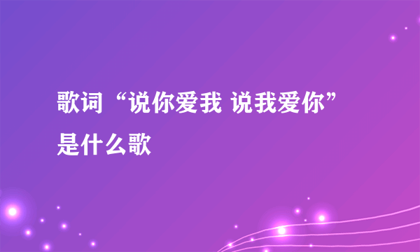 歌词“说你爱我 说我爱你”是什么歌