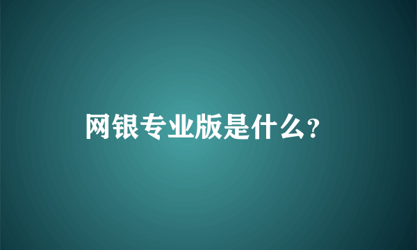 网银专业版是什么？