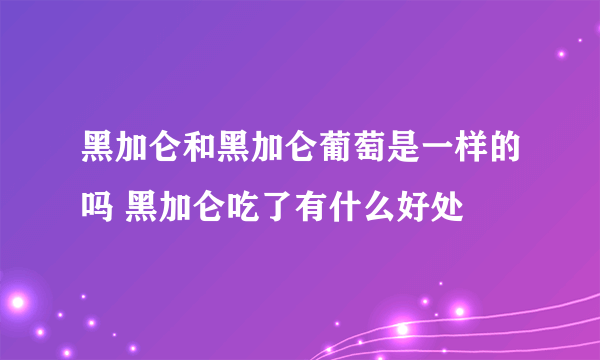 黑加仑和黑加仑葡萄是一样的吗 黑加仑吃了有什么好处