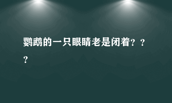 鹦鹉的一只眼睛老是闭着？？？