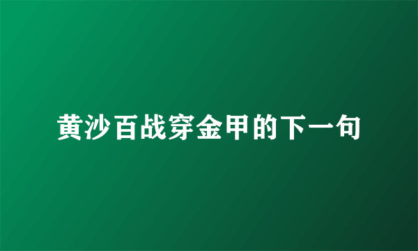 黄沙百战穿金甲的下一句