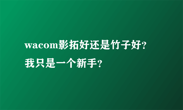 wacom影拓好还是竹子好？我只是一个新手？