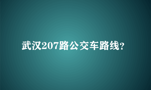 武汉207路公交车路线？